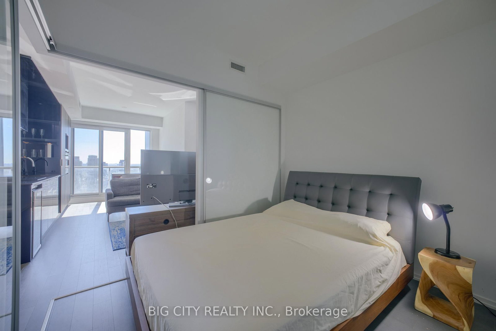 Photo 11 of 70 Temperance Street, Unit 4014
